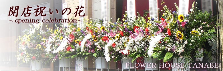 開店祝いの花 | 豊橋の花屋、フラワーハウスたなべ